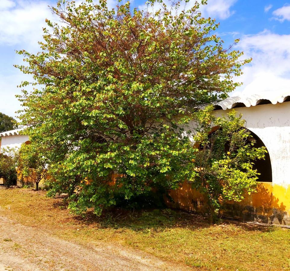 Casas Herdade Do Convento Da Serra Country house