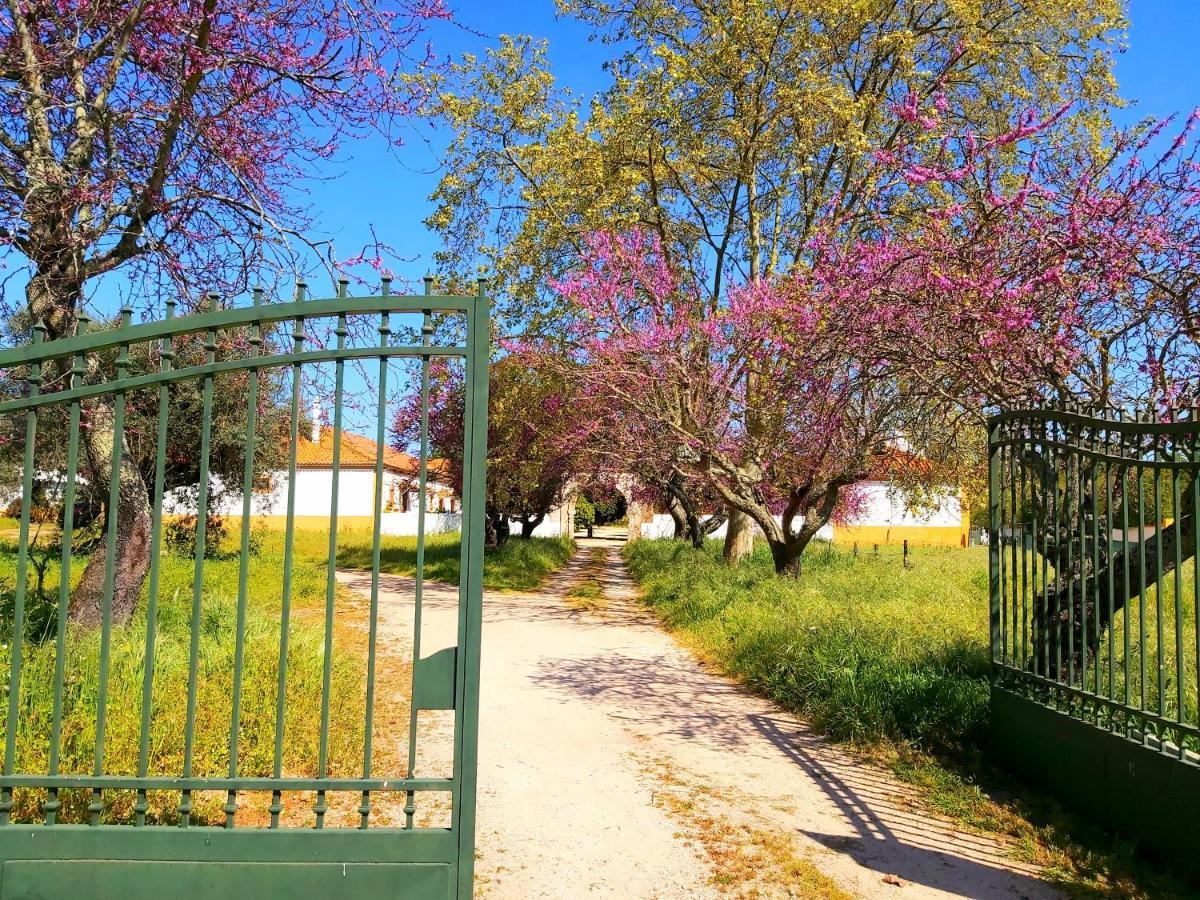 Casas Herdade Do Convento Da Serra Country house