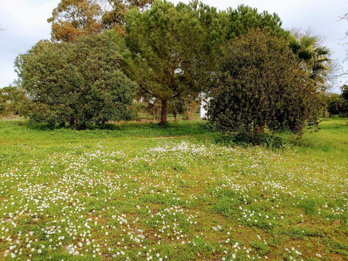 Casas Herdade Do Convento Da Serra Almeirim