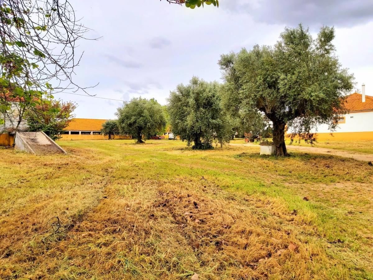 Casas Herdade Do Convento Da Serra