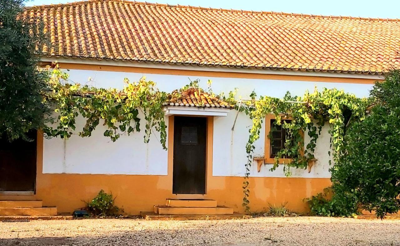 Casas Herdade Do Convento Da Serra Country house