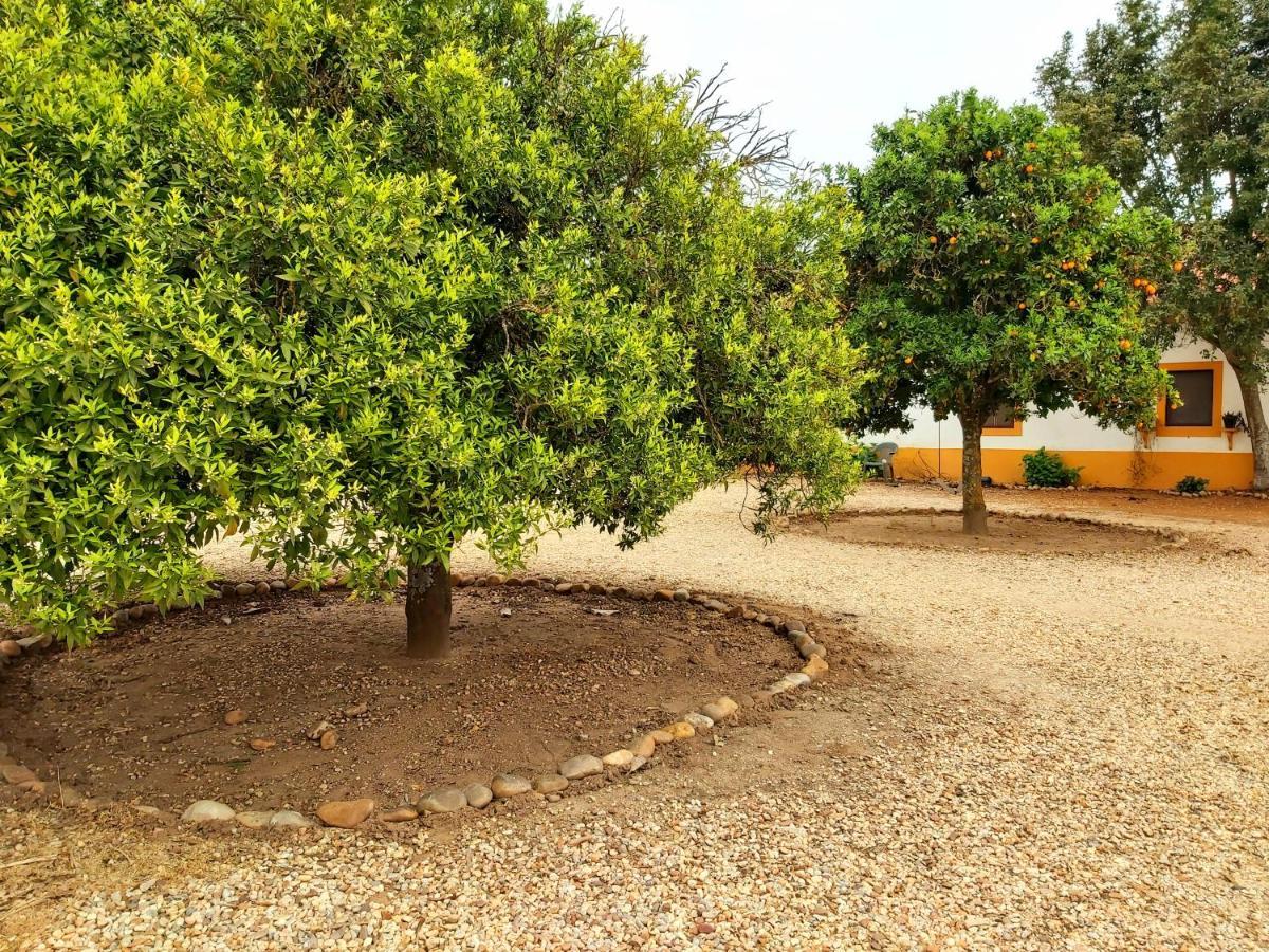 Casas Herdade Do Convento Da Serra *