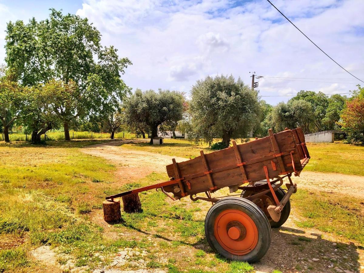 Casas Herdade Do Convento Da Serra *