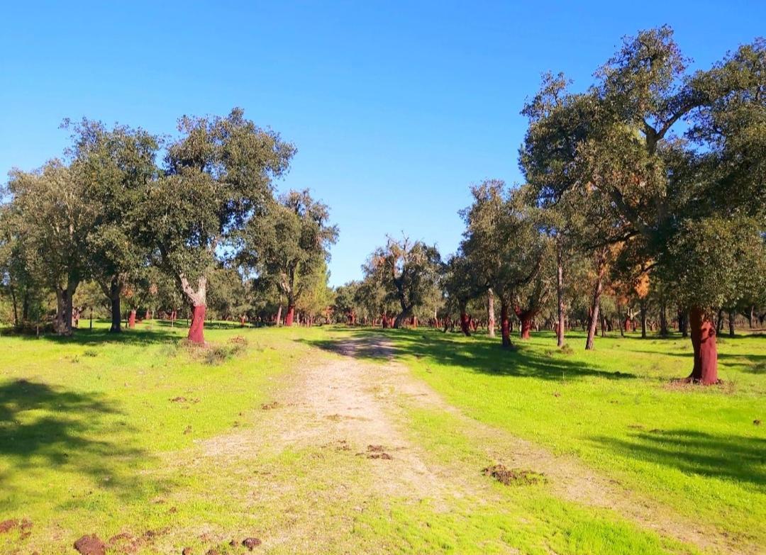 Country house Casas Herdade Do Convento Da Serra Almeirim