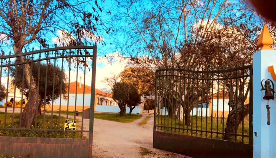 Casas Herdade Do Convento Da Serra Country house