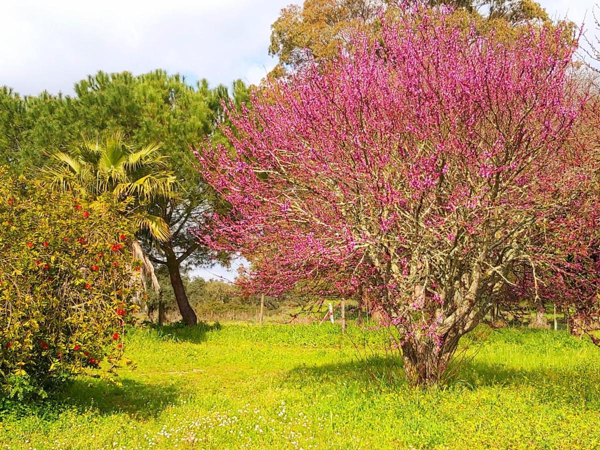 Country house Casas Herdade Do Convento Da Serra