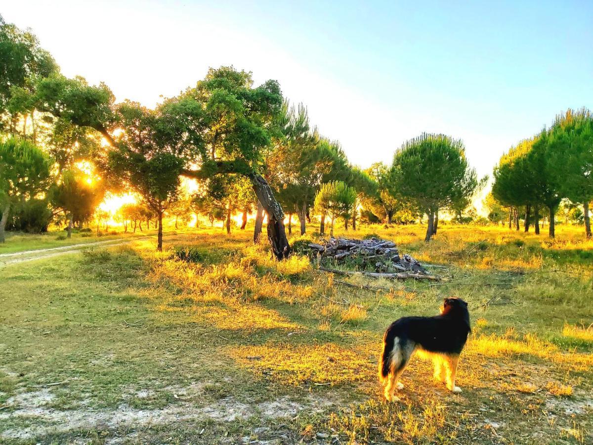Casas Herdade Do Convento Da Serra *