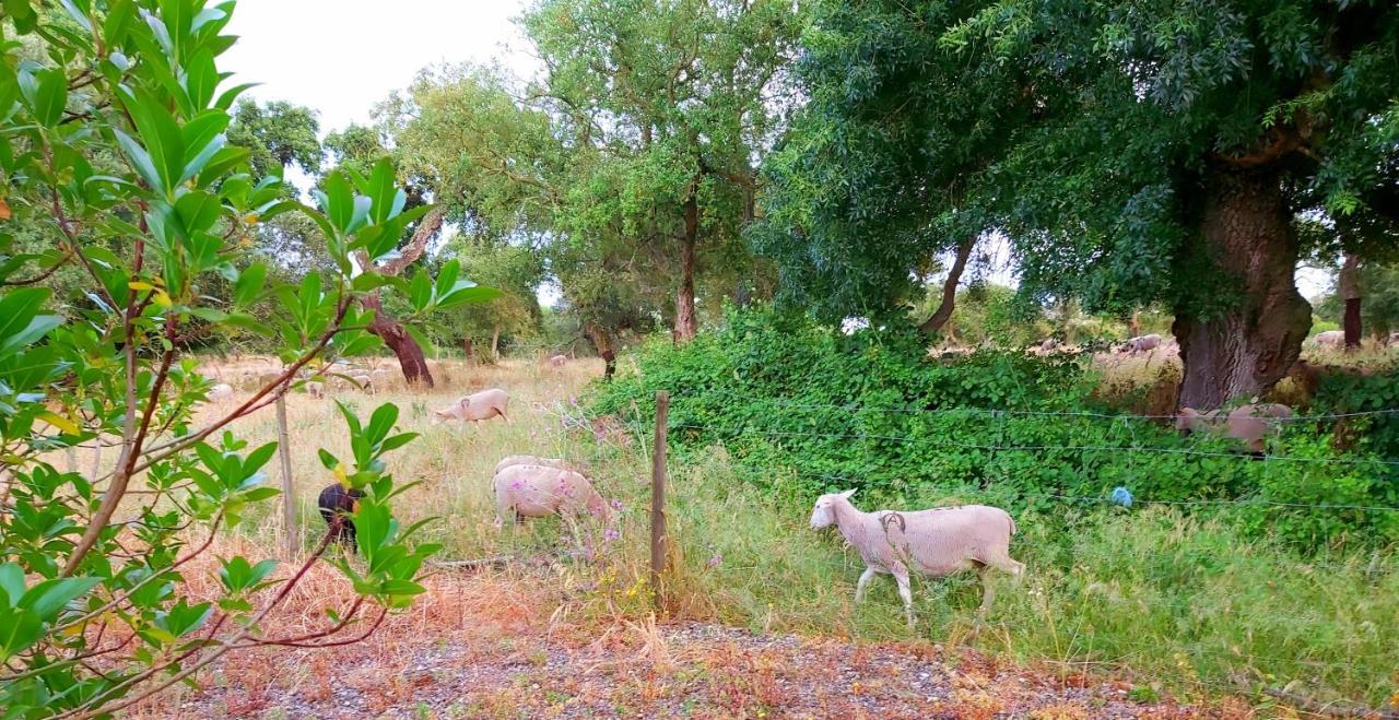 Casas Herdade Do Convento Da Serra Country house Almeirim