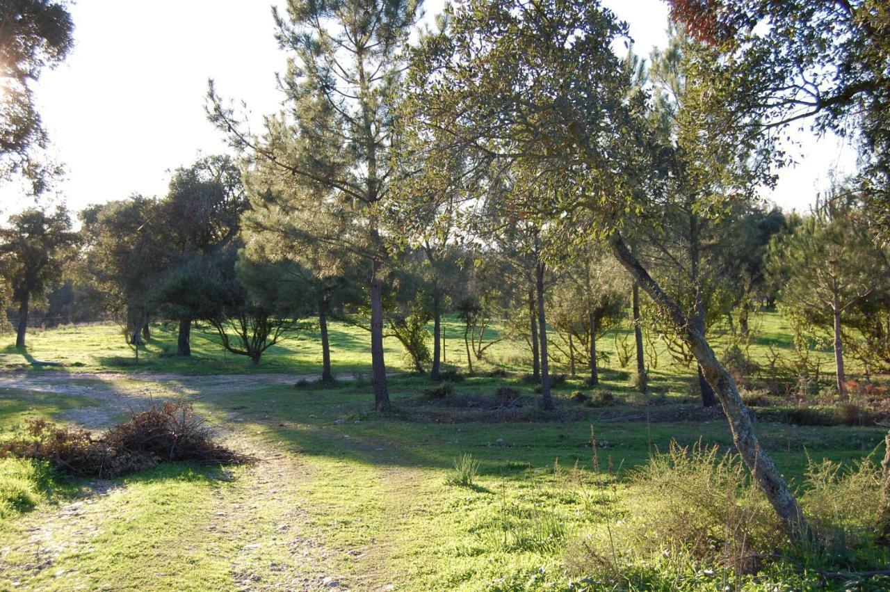 Casas Herdade Do Convento Da Serra Country house Almeirim