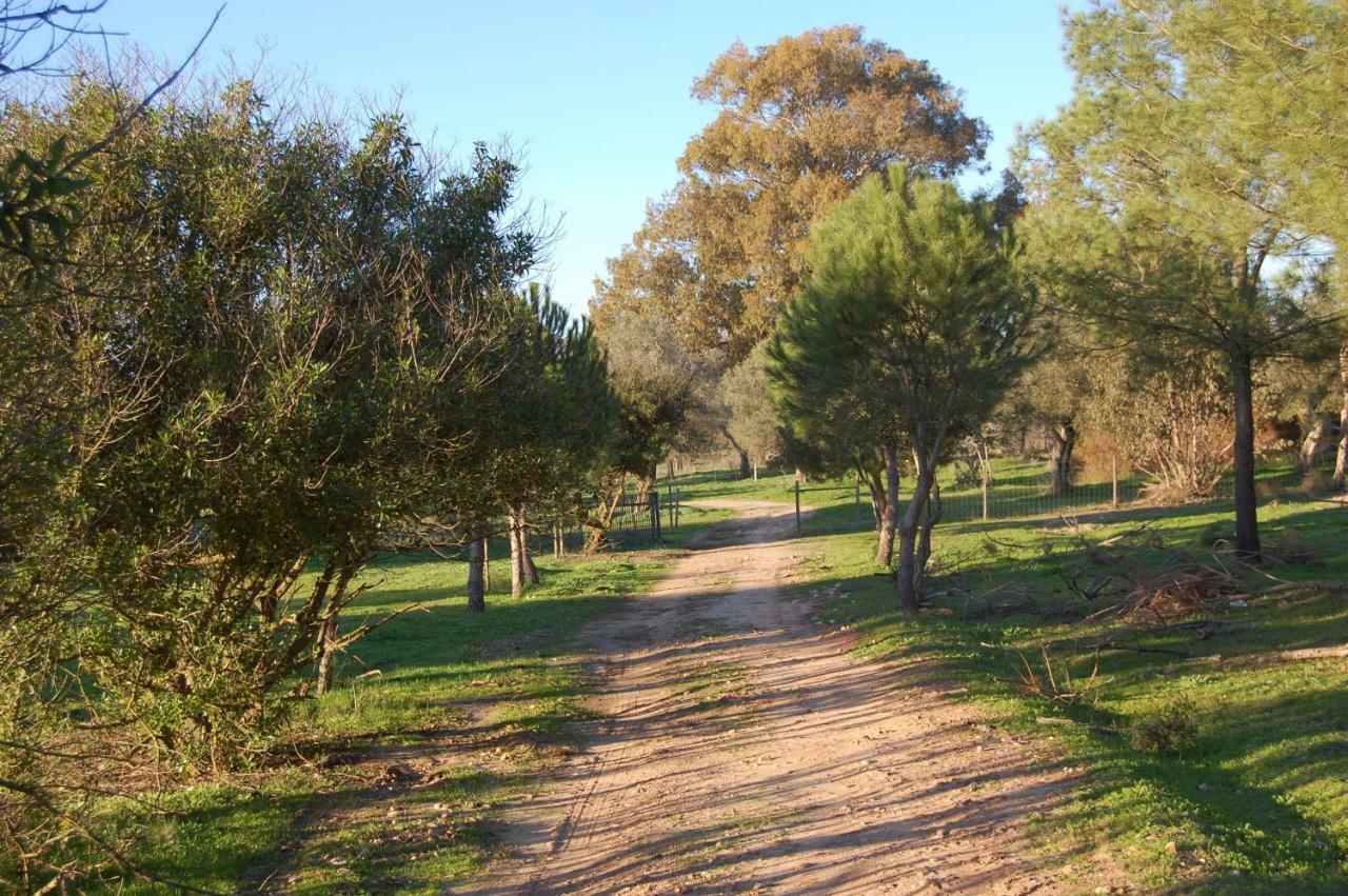 Casas Herdade Do Convento Da Serra *