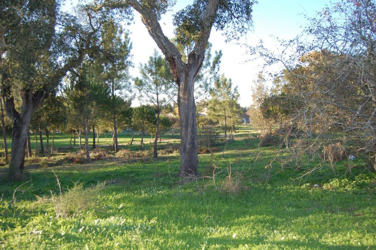 Casas Herdade Do Convento Da Serra Almeirim